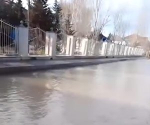 В Баку затоплено окружение школы №296 в поселке Рамана &mdash; родители жалуются