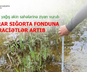 Güclü yağış və daşqınlar minlərlə hektar əkin sahəsinə ziyan vurub