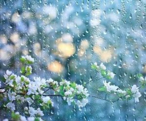 Первая декада апреля в Азербайджане пройдет с дождями, грозами и градом