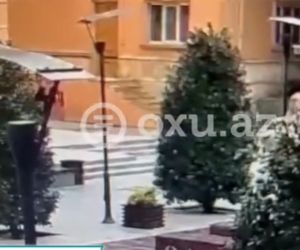 В сети появились кадры вандализма в киноцентре "Низами"