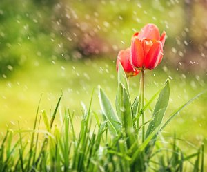 Faktiki hava açıqlanıb