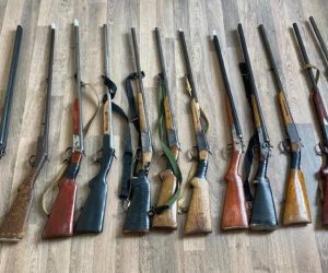 В Азербайджане за сутки у граждан изъяты 11 незаконных ружей