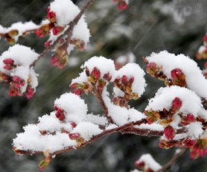 Dağlıq ərazilərə qar yağır - FAKTİKİ HAVA - YENİLƏNİB