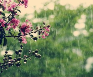 Faktiki hava açıqlanıb