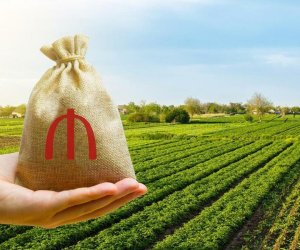 В Фонд агрострахования поступило около 300 обращений в связи с дождями