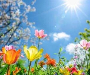 Sabahın hava proqnozu açıqlanıb