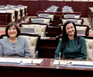 Milli Məclisin sədri Litva Baş naziri ilə görüşüb