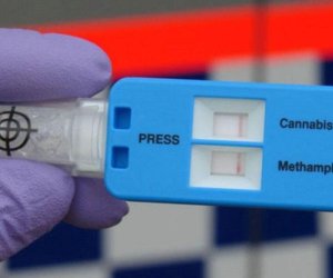 Nigaha girən şəxslərin narkoloji test verilməsi məcburi olsun - Təklif