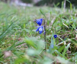 Sabahın hava proqnozu açıqlanıb