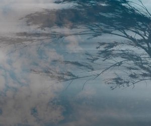 Ожидается сильный ветер