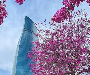 Sabahın hava proqnozu