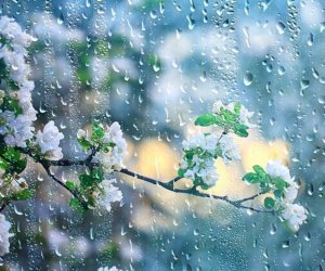 В ряде районов Азербайджана идут дожди, в Шахдаге выпал снег