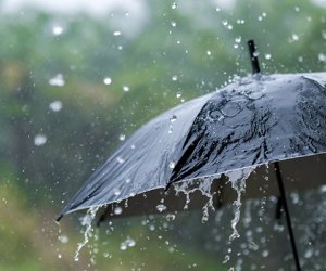 Bəzi bölgələrə yağış yağır - Faktiki hava