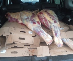 İstehlaka yararsız 227 kq at əti aşkarlanıb