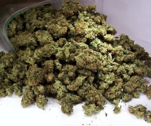 Şirvanda keçmiş məhkumda 8 kiloqrama yaxın marixuana aşkarlanıb