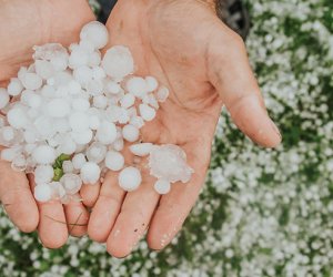 Bakıya dolu yağır - Video
