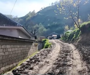 Masallının Köhnə Zuvand kəndində qaz, işıq, yol və internet problemi - Video