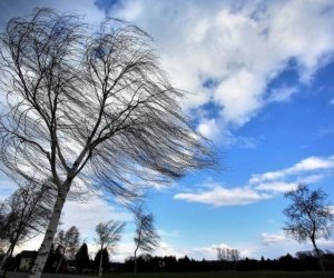 Küləklə bağlı sarı və narıncı xəbərdarlıq edilib