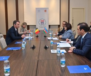 Sahibə Qafarova Belçika Senatının sədri ilə görüşüb
