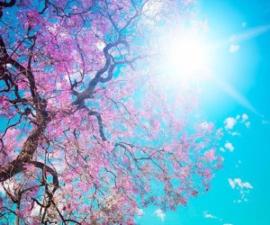 В воскресенье в Баку ожидается 24 градуса тепла