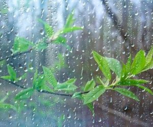 Bakıda və Abşeron yarımadasında yağış yağacaq, şimşək çaxacaq - PROQNOZ