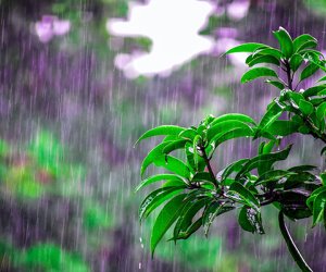 Güclü yağış yağacaq, temperatur kəskin enəcək - Xəbərdarlıq