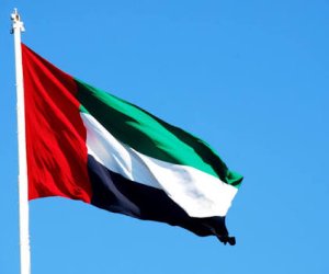 Эмираты ликвидировали связанную с Ираном группировку