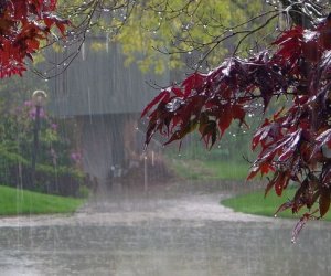 
Bəzi ərazilərə intensiv yağış yağır -FAKTİKİ HAVA