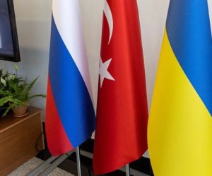 Турция пытается навести мосты между Россией и Украиной