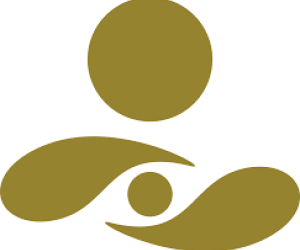 Доля доллара в инвестиционном портфеле ГНФАР превысила 71%