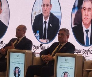 Vüqar Bayramov: Təəssüf ki, iri sahibkarlar arasında qadınlar yoxdur