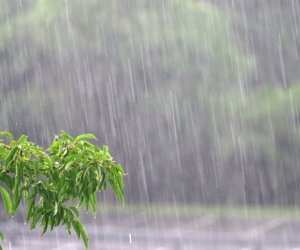 В Кяльбаджаре и Лачине выпал мокрый снег