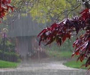 Sabah qısamüddətli yağış gözlənilir - Proqnoz