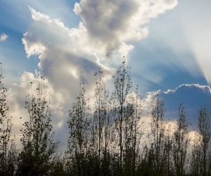 Ölkə ərazisinin bəzi yerlərində küləkli hava şəraiti davam edir