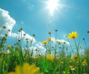 Sabah 24 dərəcə isti olacaq