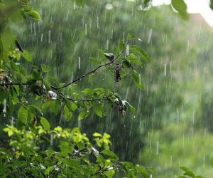 В горных и предгорных районах Азербайджана ожидаются осадки