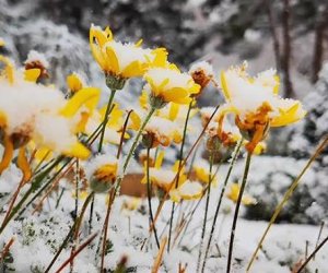 Faktiki hava açıqlanıb