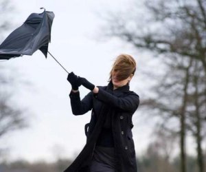 Bakıda güclü külək əsəcək, rayonlarda yağış yağacaq