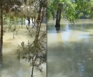 Kür çayında su səviyyəsi enir, bəzi ərazilərdə subasma qeydə alınıb