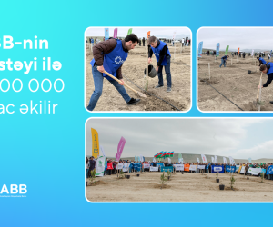 ABB bank supports the planting of 1,000,000 trees