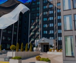 Запрет для россиян и белорусов в Эстонии