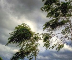 Фактическая погода: ветер в Баку и на Абшероне усиливается