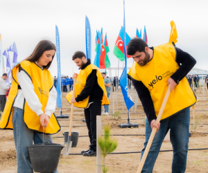 Yelo Bank-dan 1 milyon ağac hədəfinə parlaq dəstək!