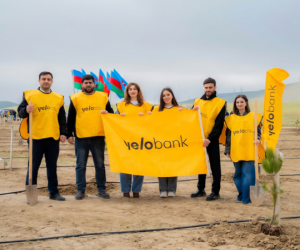 
Yelo Bank поддерживает цель в 1 000 000 деревьев!