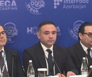 &ldquo;Caspian Agro&rdquo; sərgisində xarici iştirakçıların sayında təxminən 50 faiz artım var- Anar Cəfərov