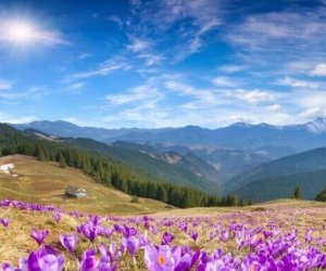 

Sabahın hava proqnozu açıqlanıb
