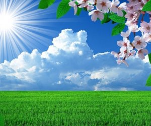 
&ldquo;İqlim haqqında&rdquo; qanun layihəsi hazırlanıb