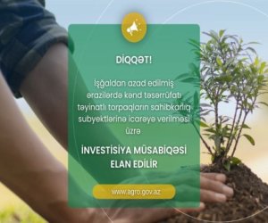 Qarabağda torpaqların icarəyə verilməsi üzrə növbəti müsabiqə elan edilib
