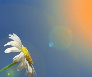 Apreldə Bakı və Abşeronda temperatur 21 gün normadan yuxarı olub - RƏSMİ