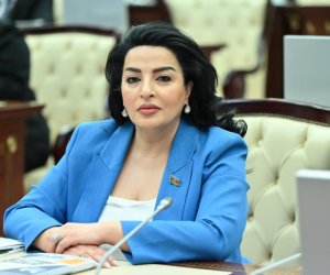 Fatma Yıldırım: Yaşıllıqlarla bağlı dəyişikliklər fermerlərin fəaliyyətini asanlaşdıracaq